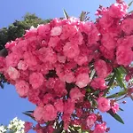 Sun Garden מלון דירות