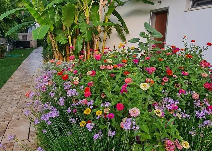 Sun Garden
