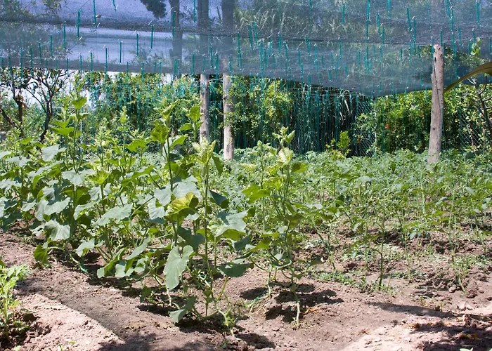 מלון דירות Sun Garden 4*