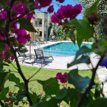 Sun Garden 4*