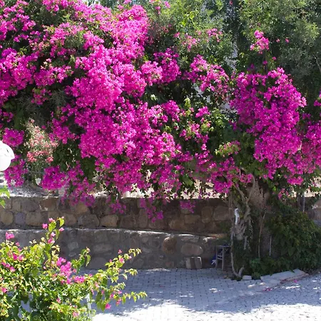 Sun Garden 4*