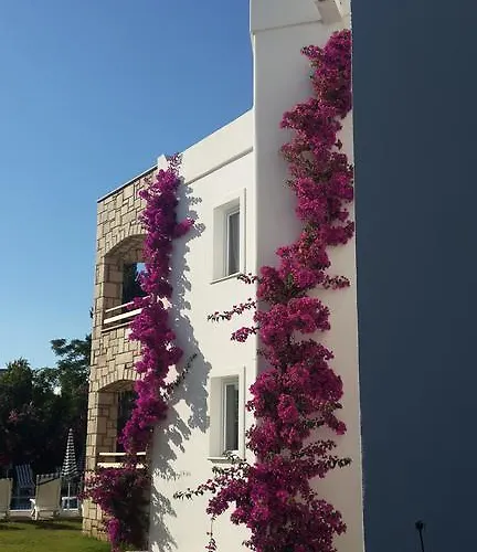 Aparthotel Sun Garden Yalıkavak